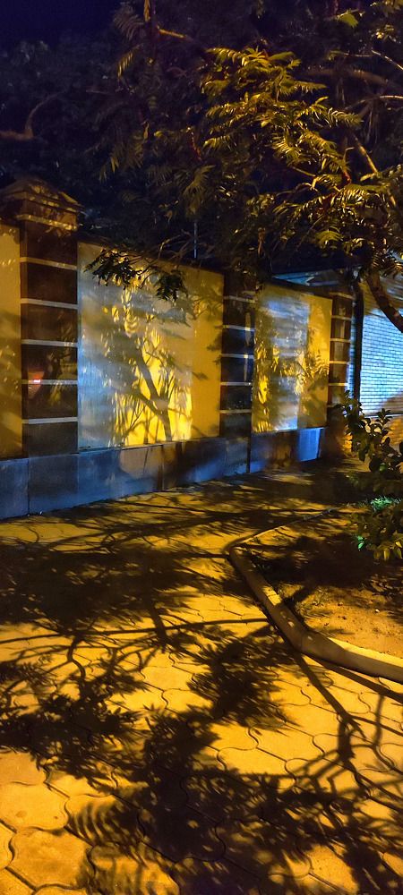 Photograph by Алла Холодова