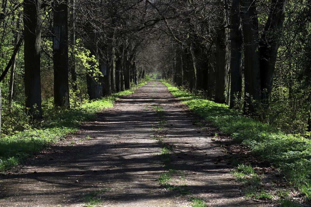 Photograph by елена