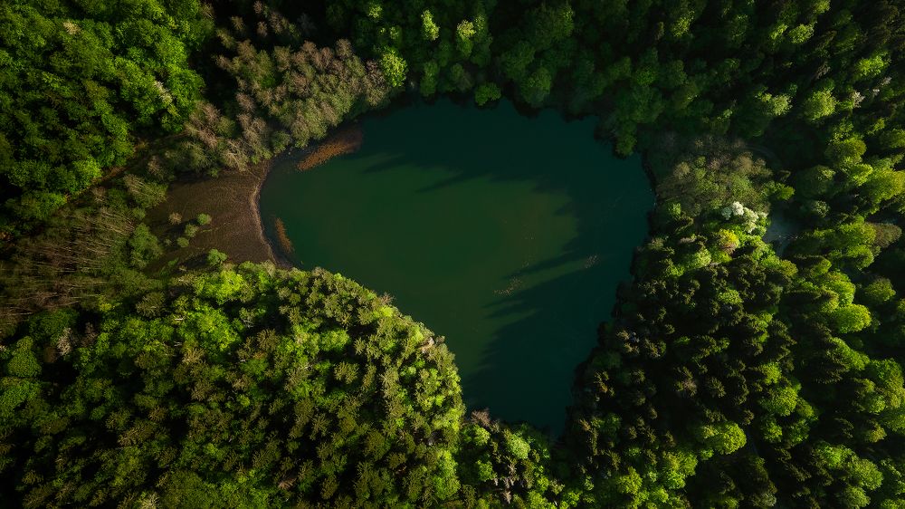 Photograph by TORNIKE PAPKIAURI