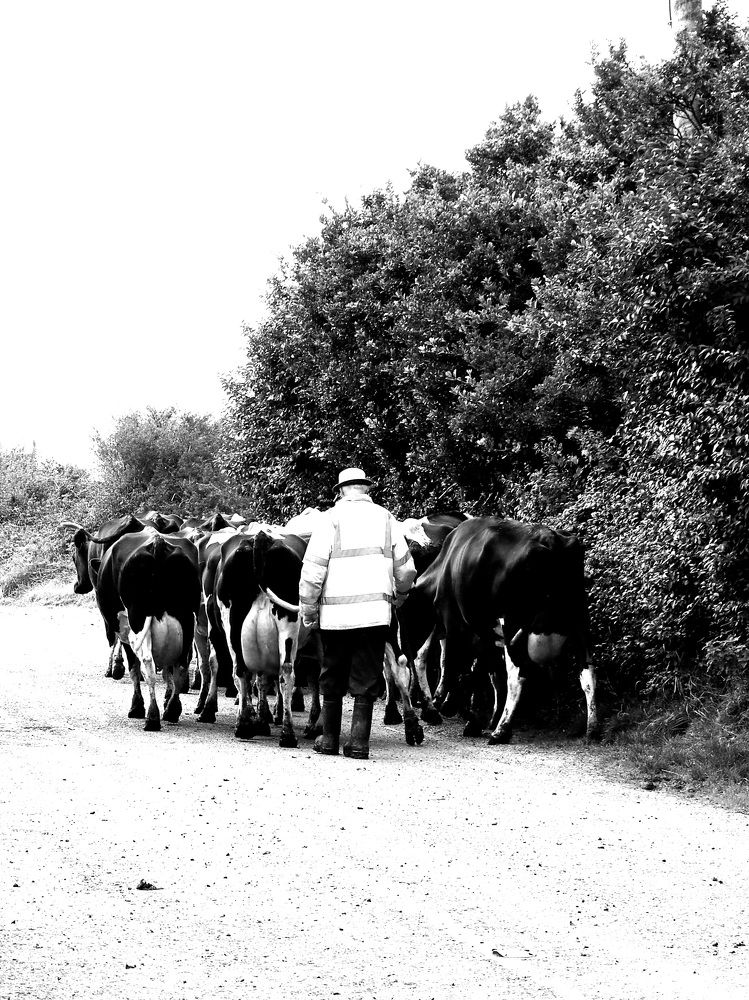 Photograph by Francesca Falgari