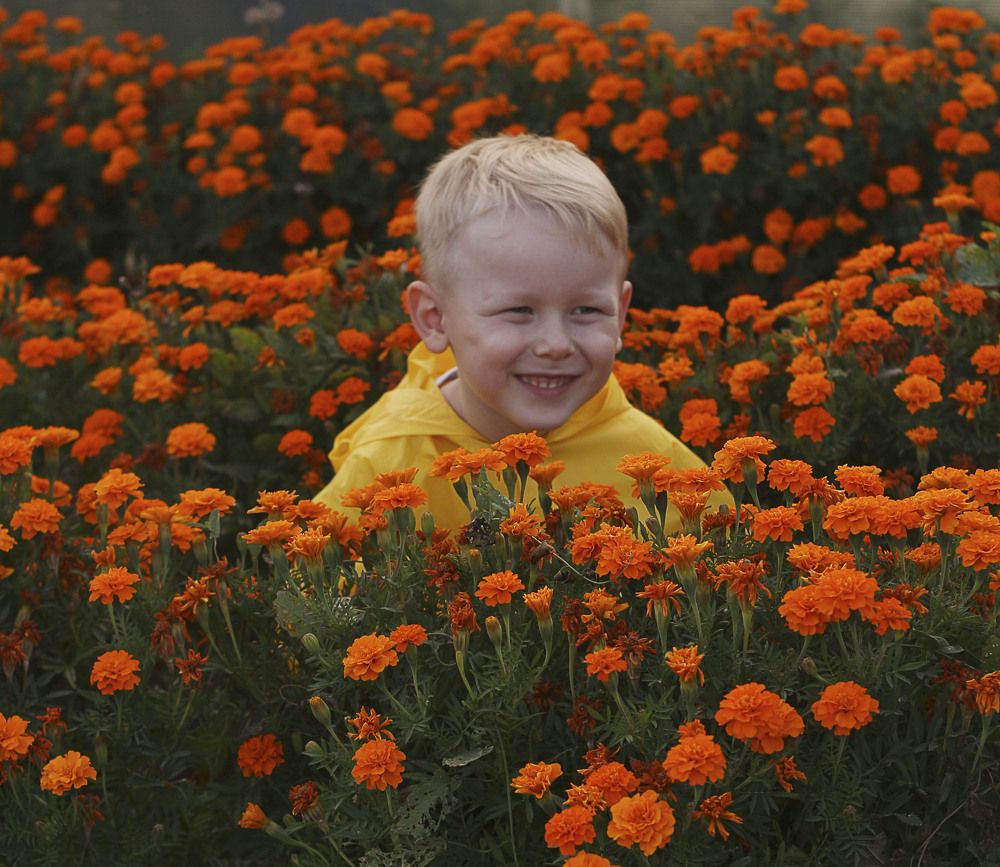 Photograph by Ирина Анцыгина