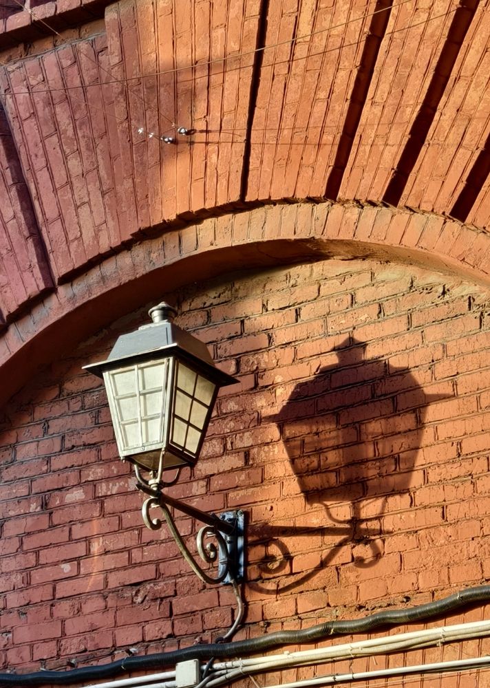 Фотография автора Светлана Зимина