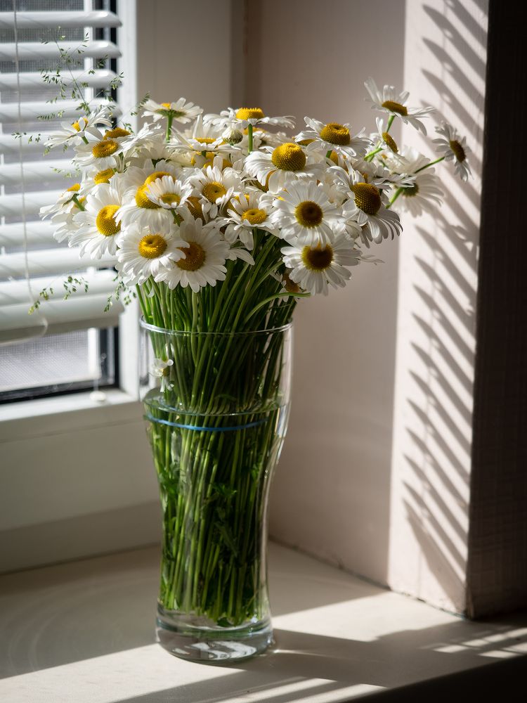 Photograph by Маргарита Ивкова