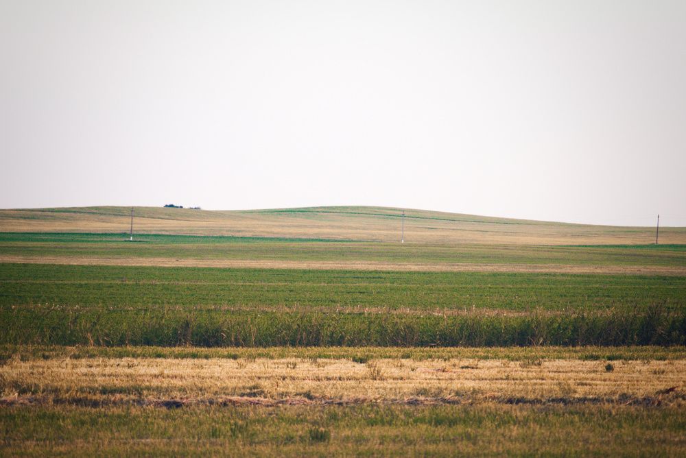 Photograph by Dmitry Kuzmich