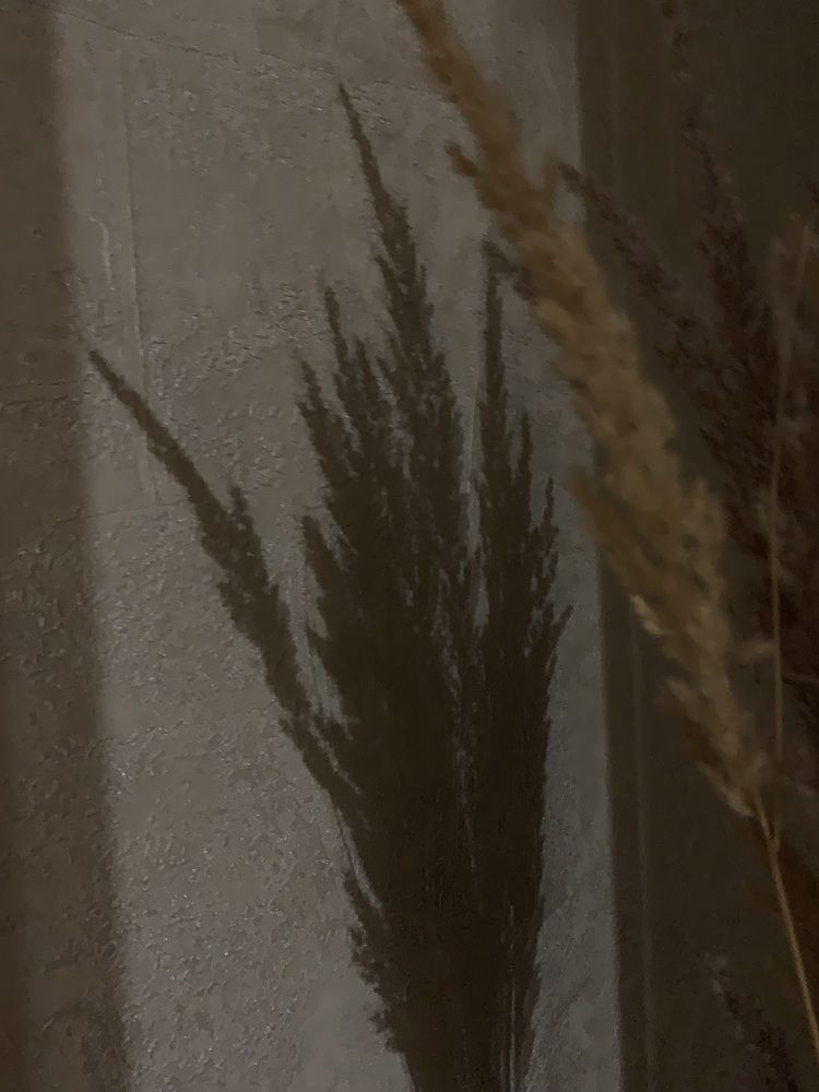 Фотография автора Ирина Шпаковская