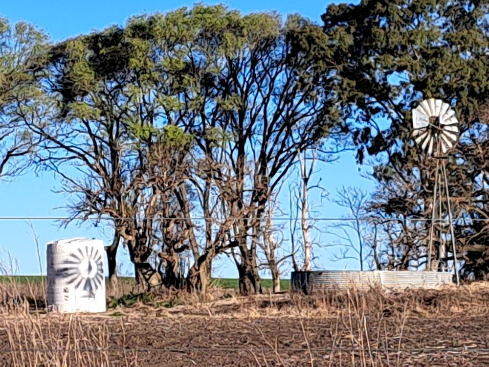 Фотография автора gustavo pecelis