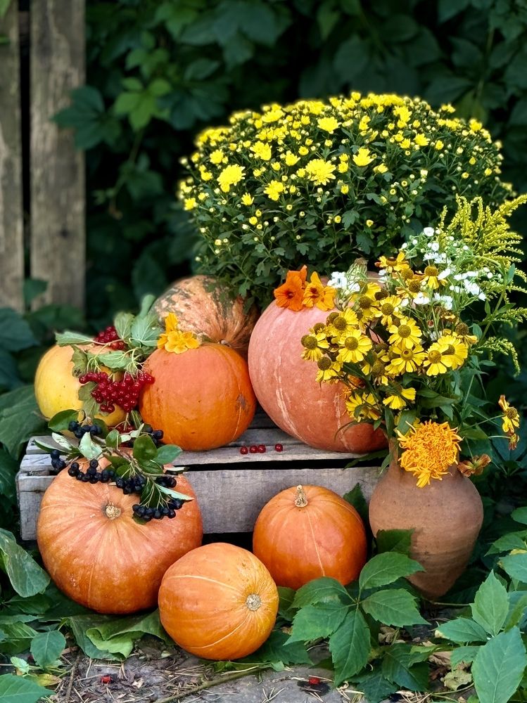 Фотография автора Evgeniya Ivanova