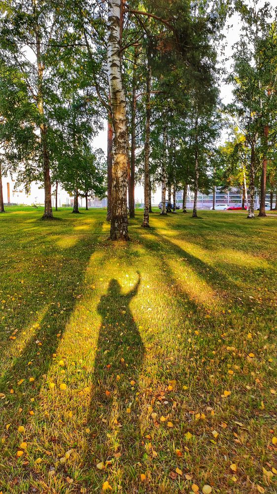 Photograph by Алла Холодова