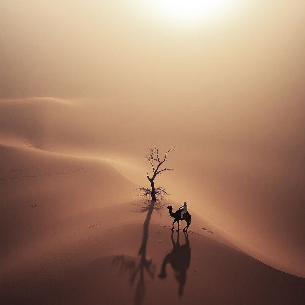 Photograph by Николай Алексеев