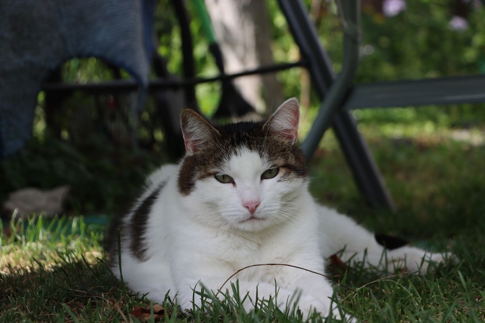 уверенная харизма