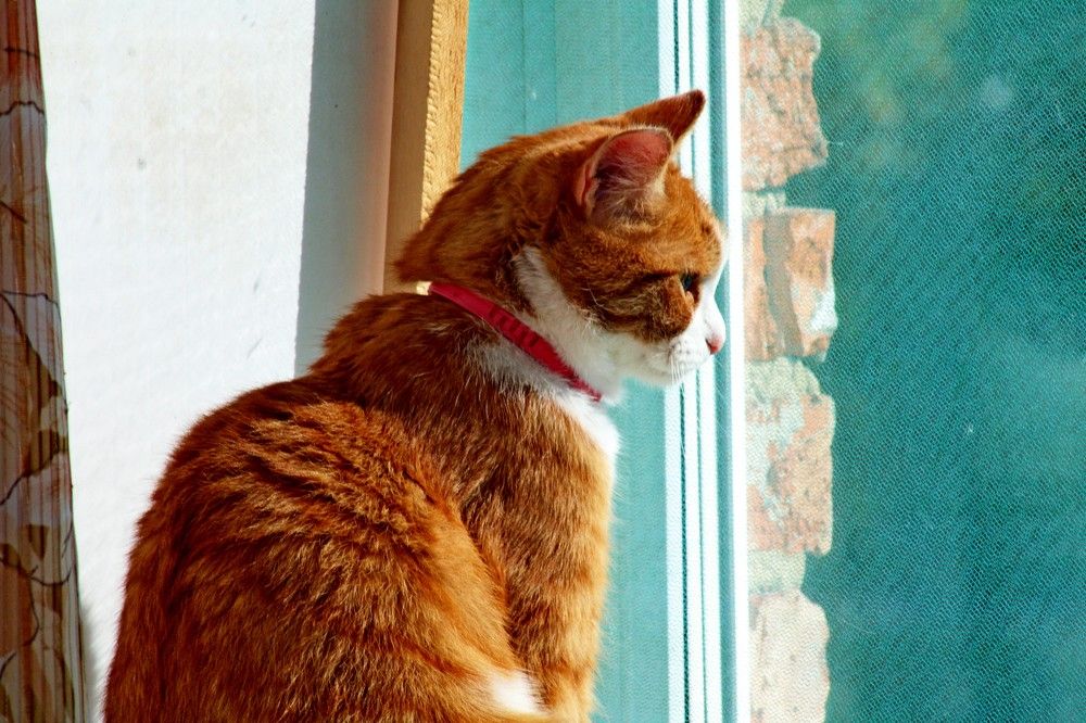 Photograph by Дмитрий Симагин