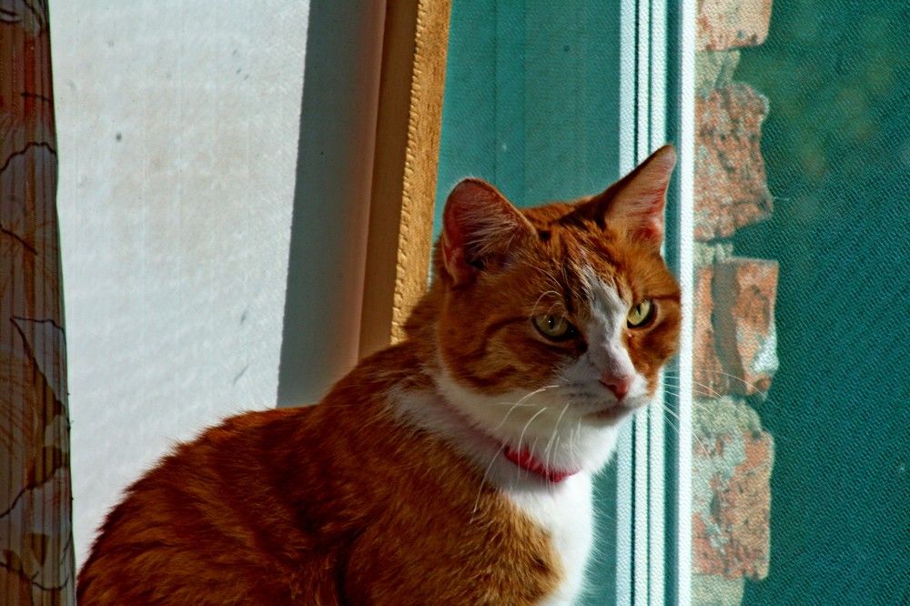 Photograph by Дмитрий Симагин