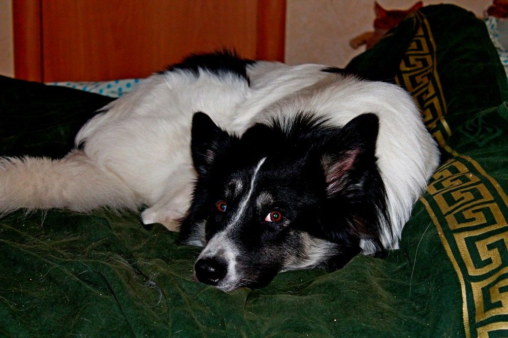 Photograph by Дмитрий Симагин