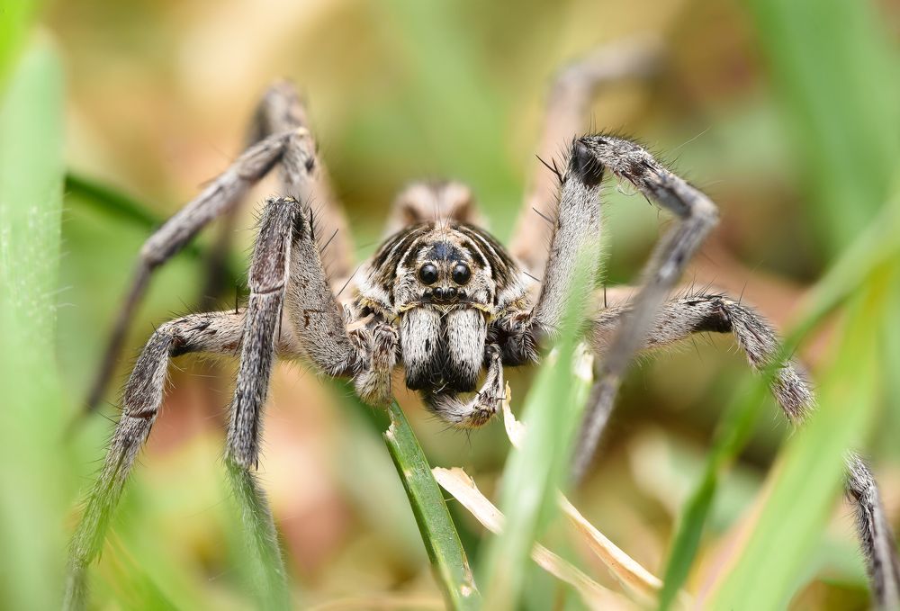 Photograph by Ernie Favaro