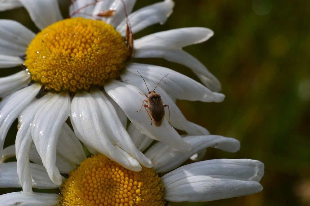 Photograph by Olga Mishenina