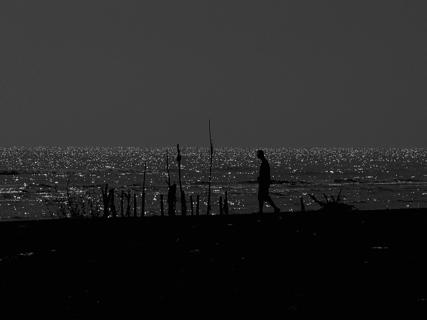 Photo #11046967