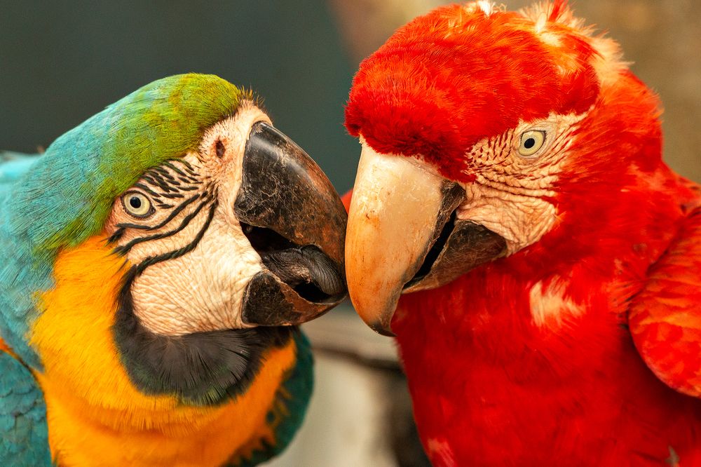 Photograph by Christofer Silva Oliveira