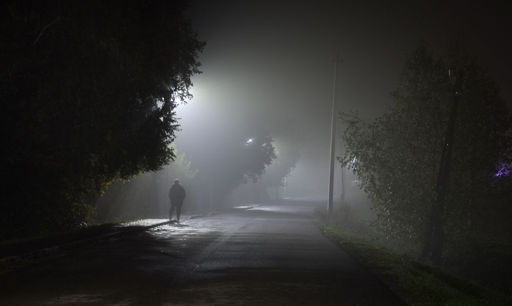 Сельский пейзаж в тумане