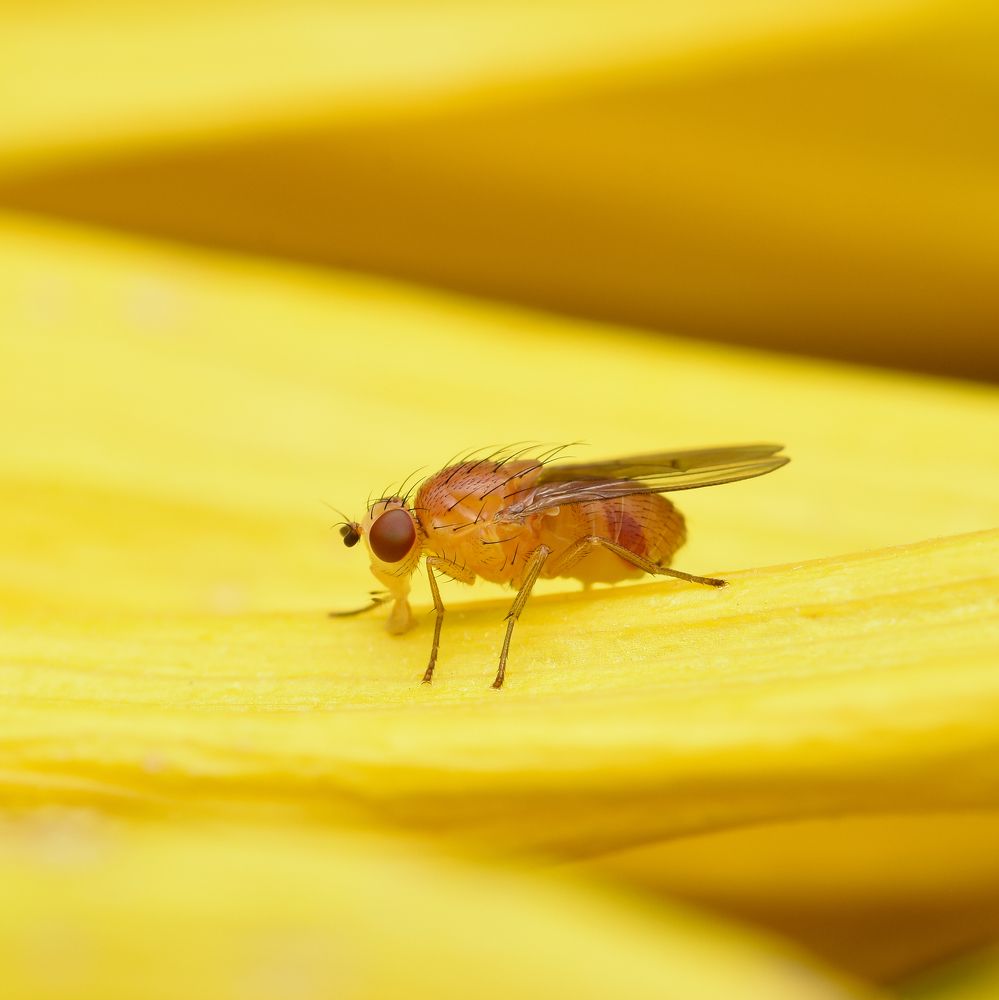 Photograph by Ernie Favaro