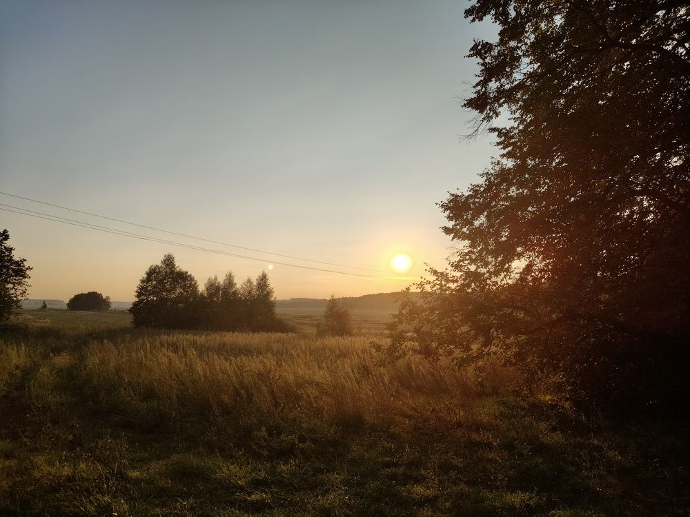 Photo #11047292