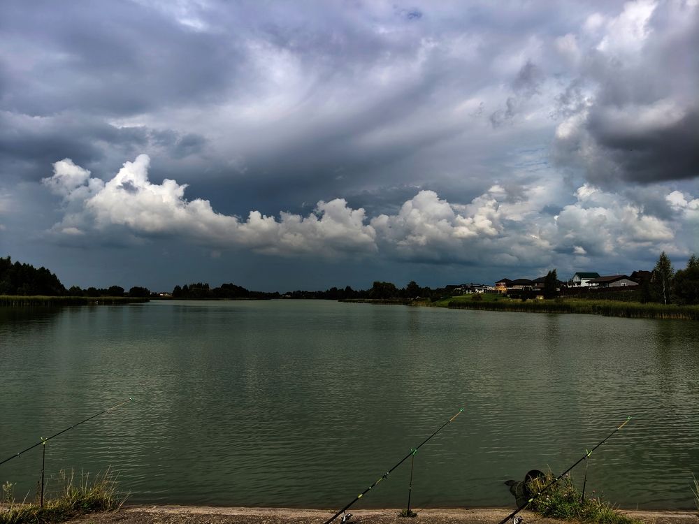 Photo #11047297