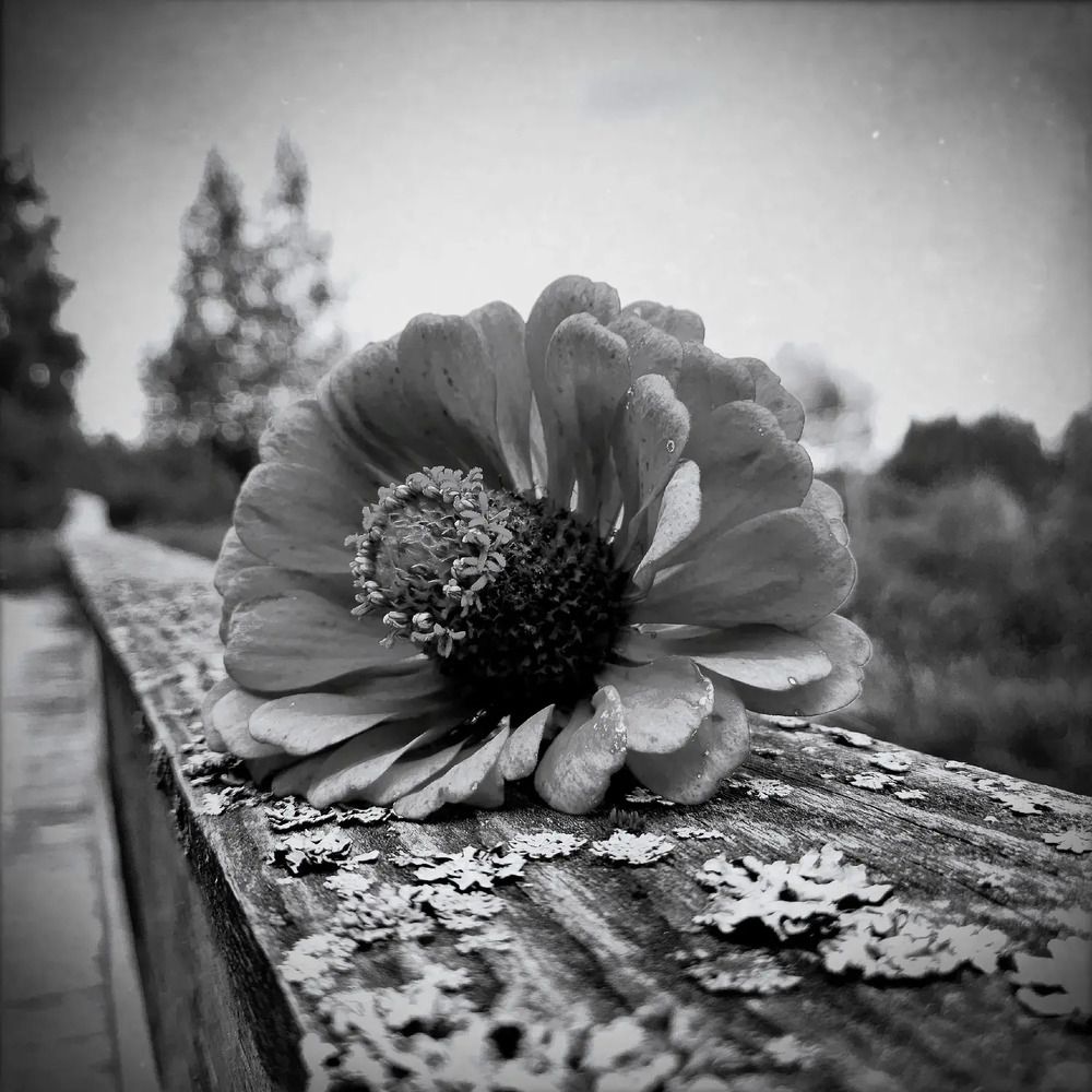 Фотография автора Татьяна