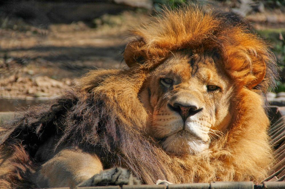 Фотография автора Наталия Мащенко