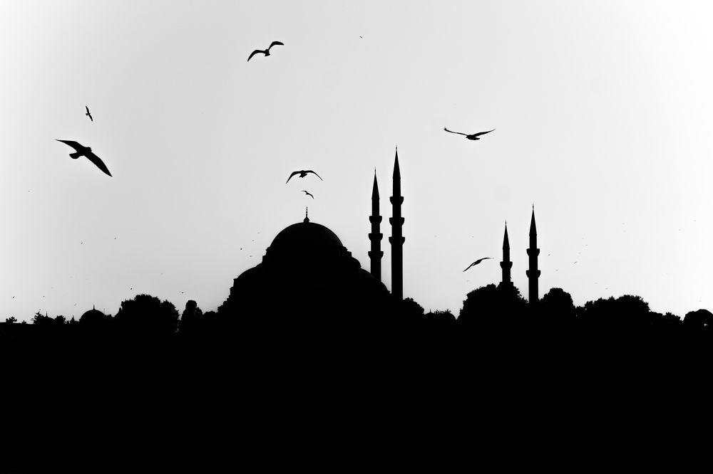 Фотография автора Gilliard Bressan