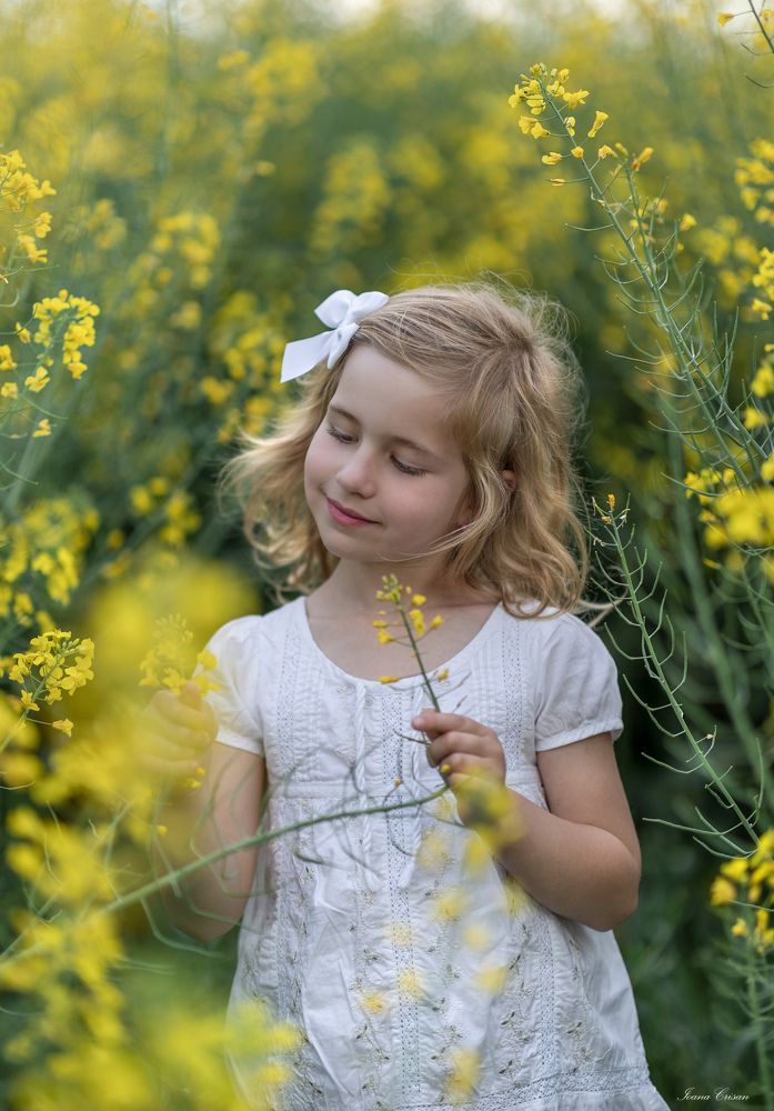 Фотография автора Ioana Crisan