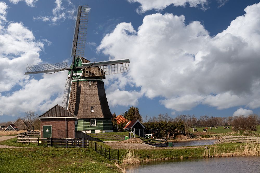 The harmony of country site.