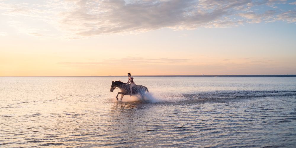 Photograph by Leonid