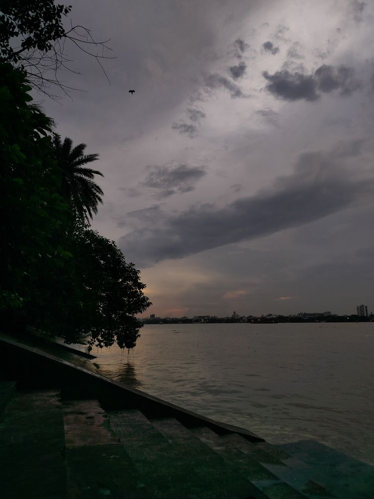 Photo #11047727