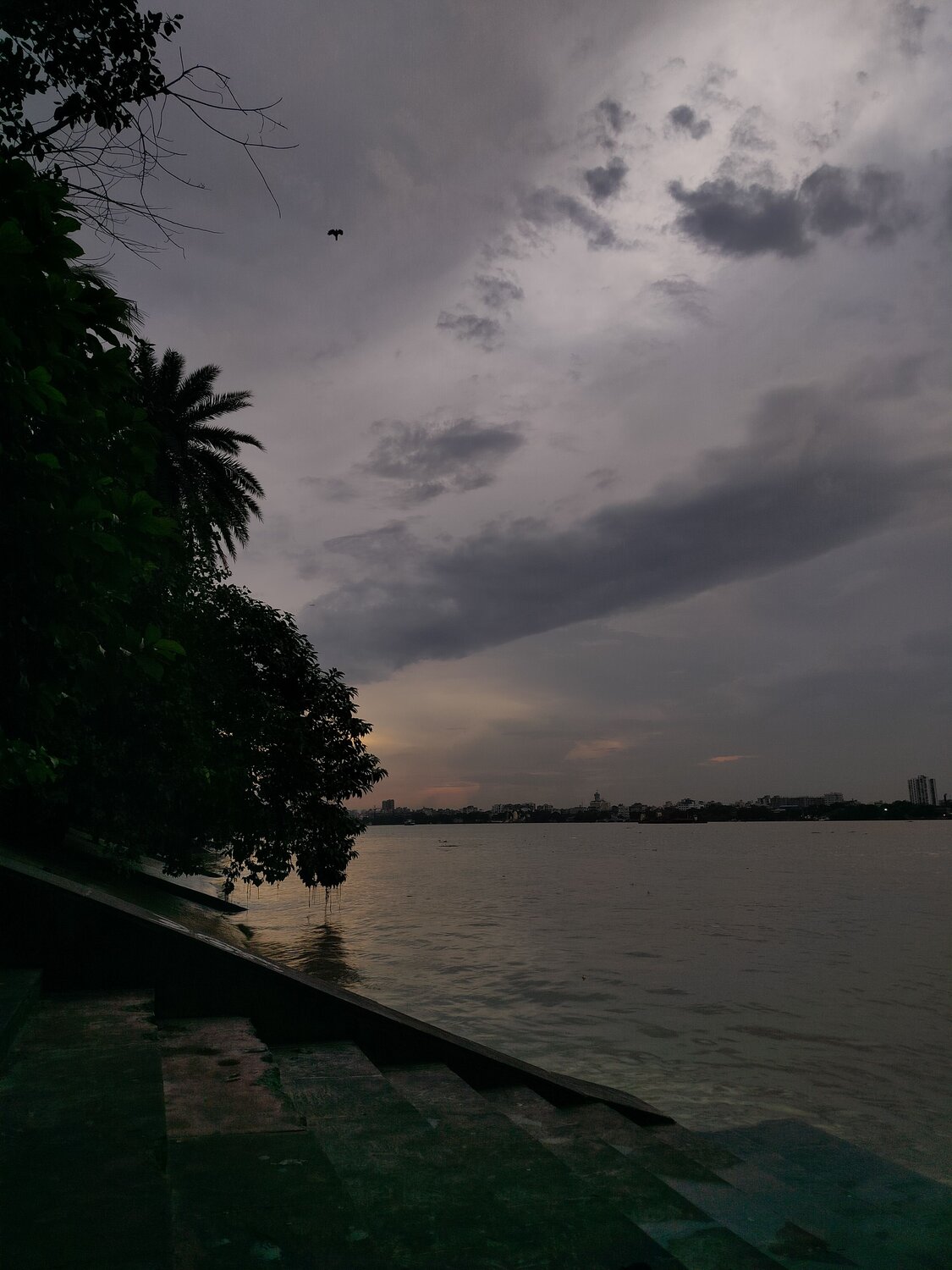 Photo #11047727
