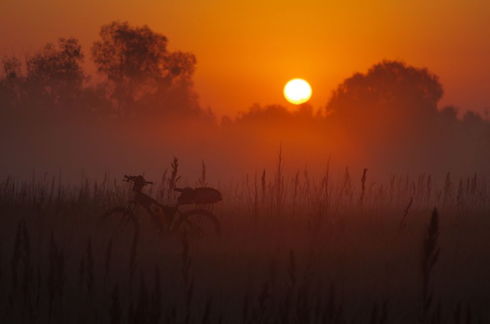 Photograph by Шляга Сергей
