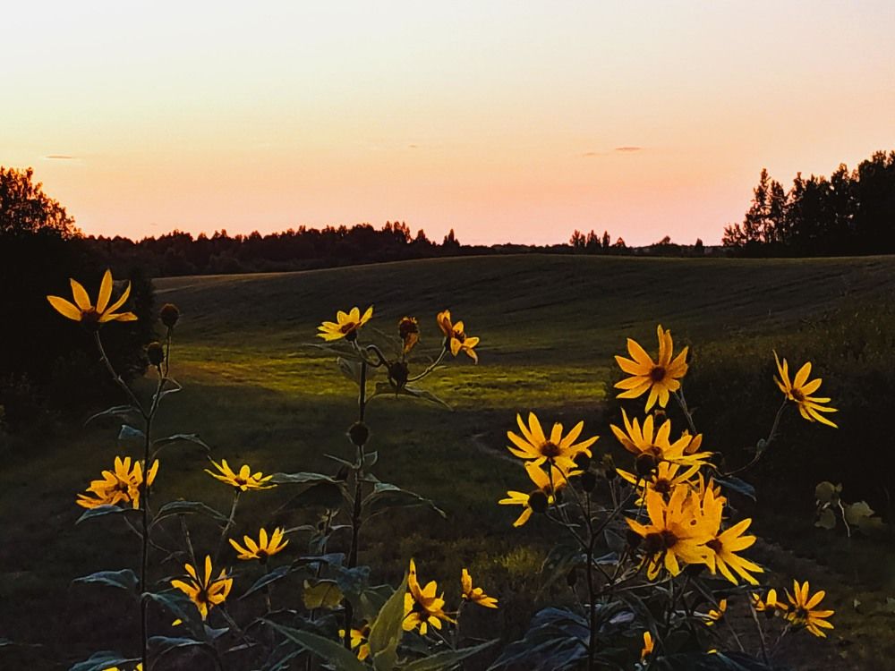 Поцелуй заката
