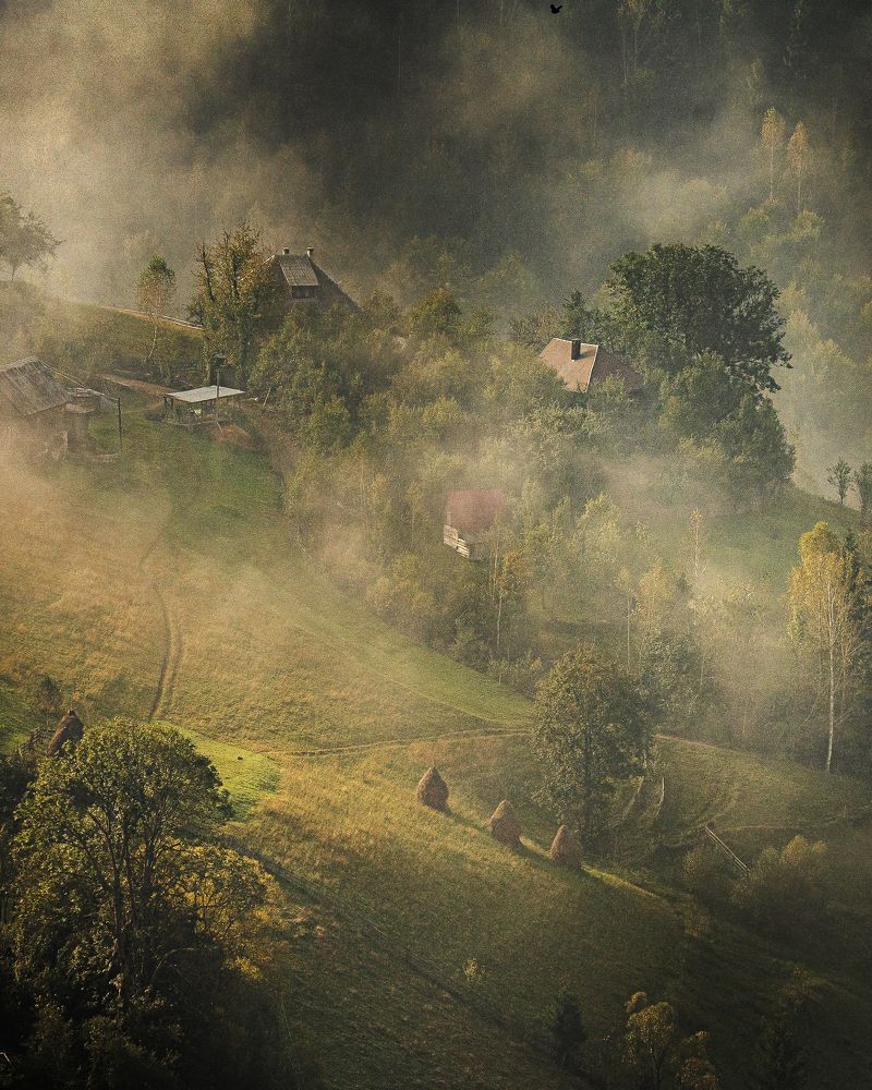 Photograph by T TEMA MARIN