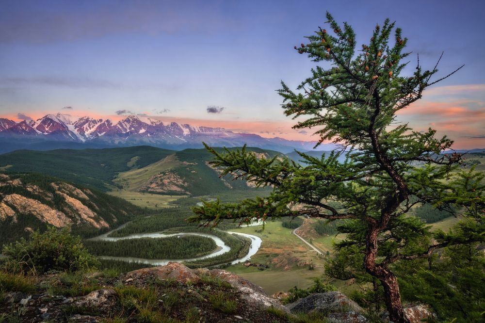 The bends of the Chuya River