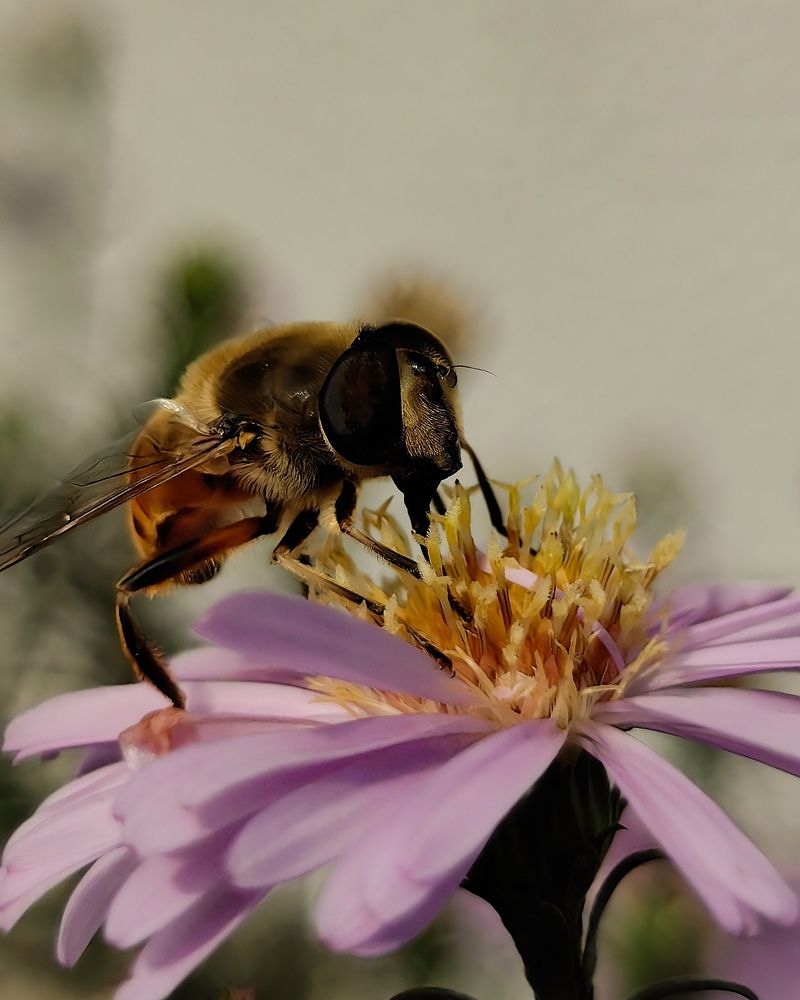 Photograph by Наталья Жуковская