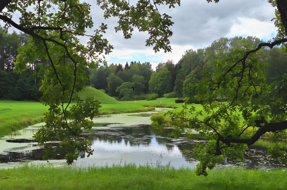 Photograph by Татьяна Слесарева