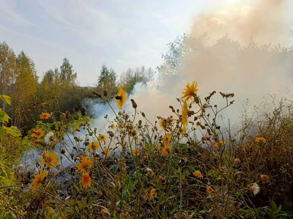 Photograph by Юрий Клишин