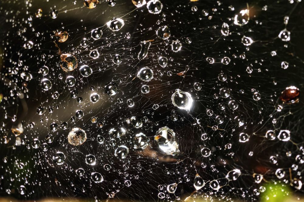 Photograph by Сергей Назаредский