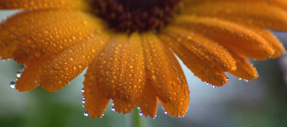 Photograph by Екатерина Филина