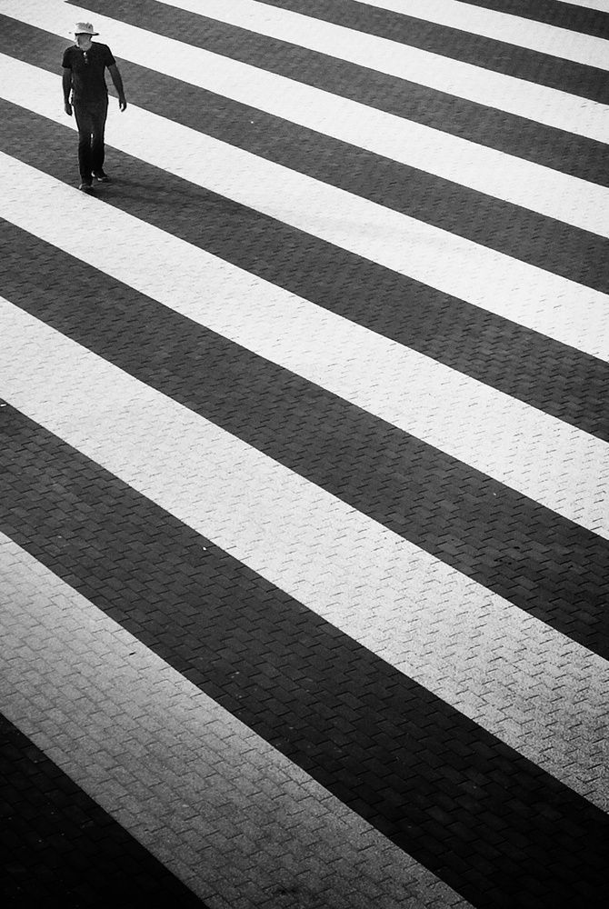 Photograph by Кривенко Владимир