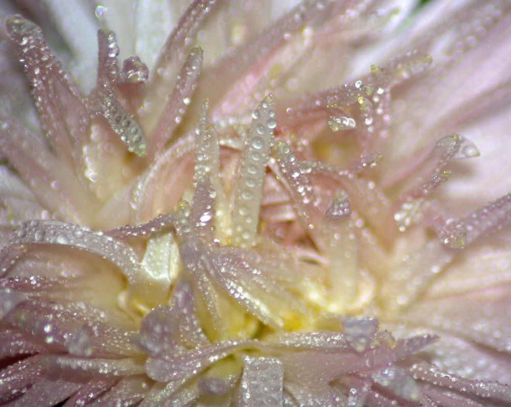 Photograph by Екатерина Филина