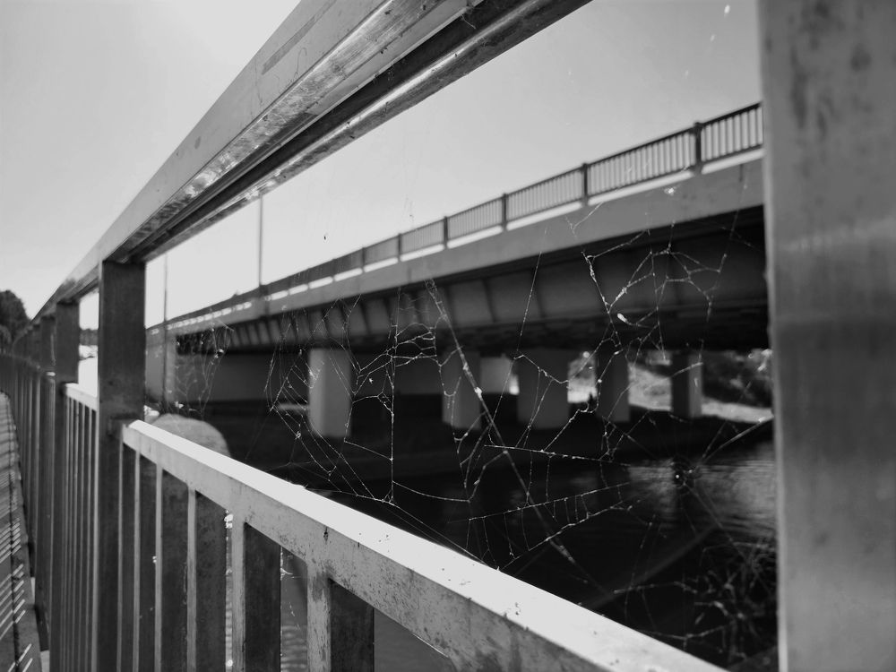 Photograph by Александр Алексеев