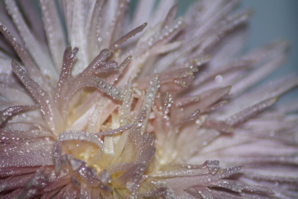 Photograph by Екатерина Филина