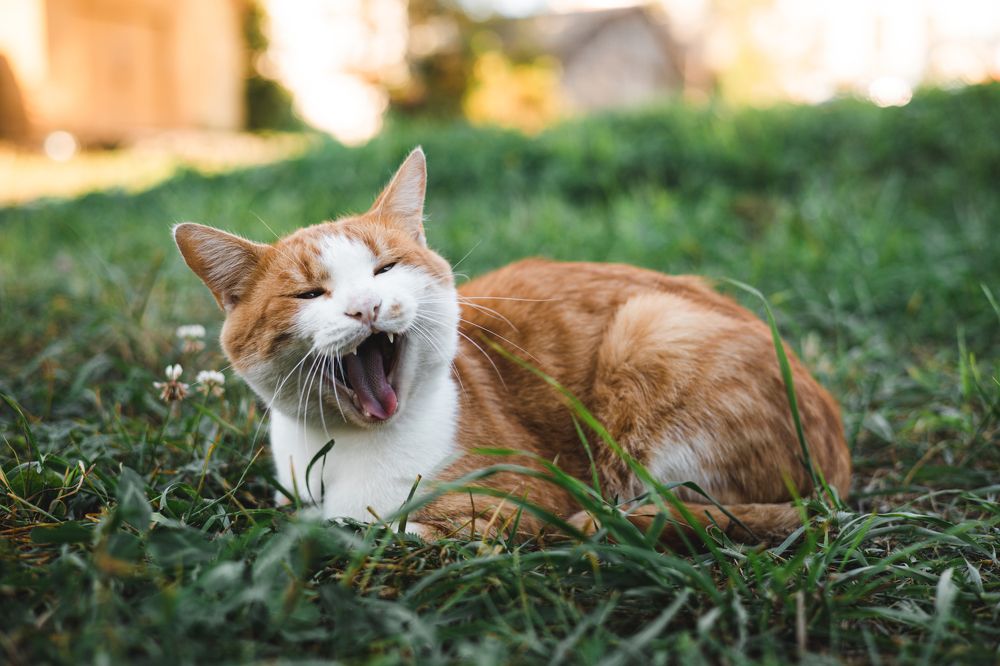 Photograph by Данил Гурьев