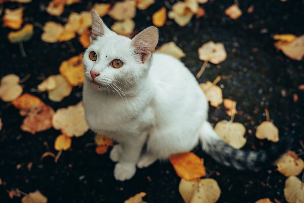 Photograph by Данил Гурьев