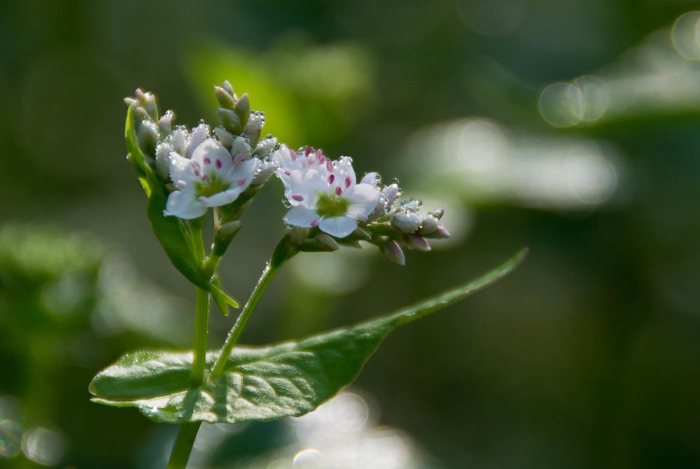 Фотография автора Юлия Кранина