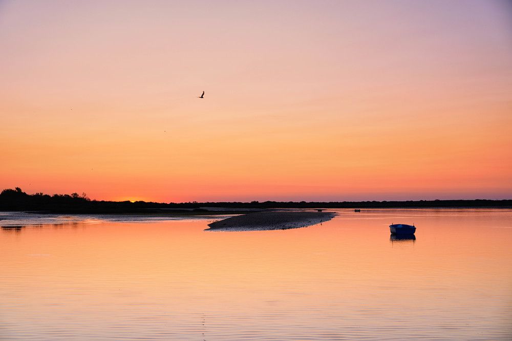 Photograph by Mário C.